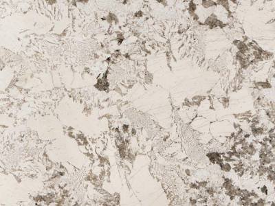 WhatsApp Image 2025-11-21 at 3.40.00 PM