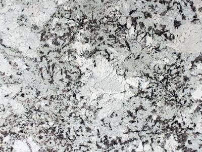 WhatsApp Image 2025-11-21 at 3.48.36 PM