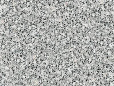 WhatsApp Image 2025-11-27 at 11.04.18 AM