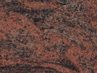 WhatsApp Image 2025-11-27 at 11.04.43 AM