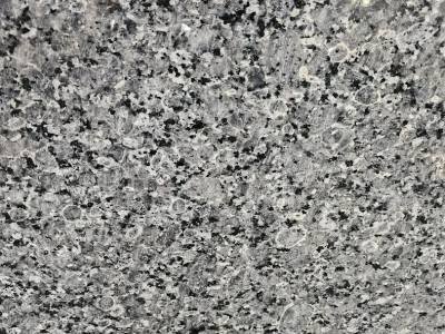 WhatsApp Image 2025-11-27 at 11.05.48 AM