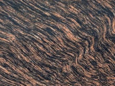 WhatsApp Image 2025-11-27 at 11.06.28 AM