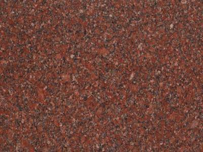 WhatsApp Image 2025-11-27 at 11.06.34 AM